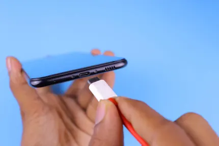 Kaszinó Mobile Wins Mobilalkalmazás